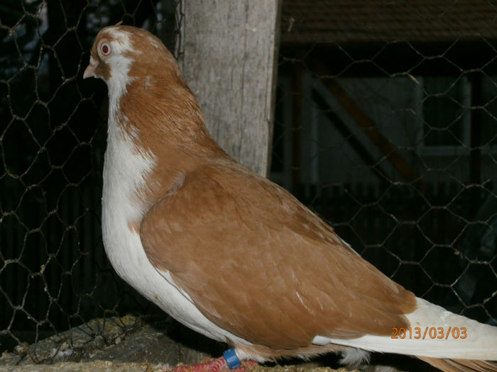 P3030608