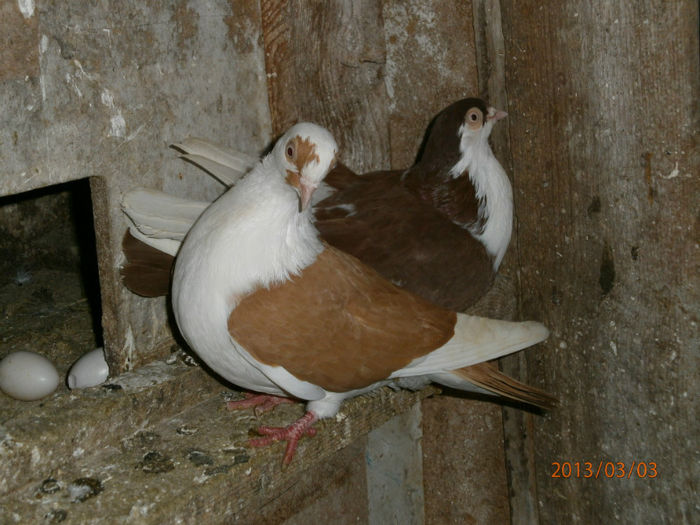 P3030615