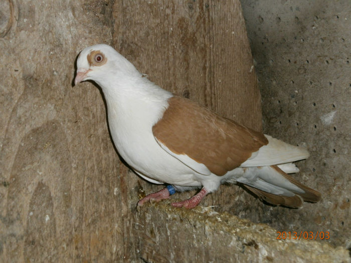 P3030620