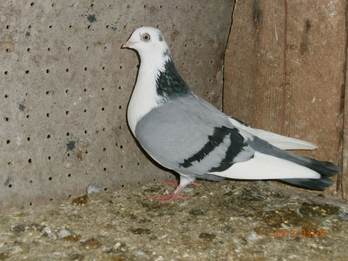 P3030631