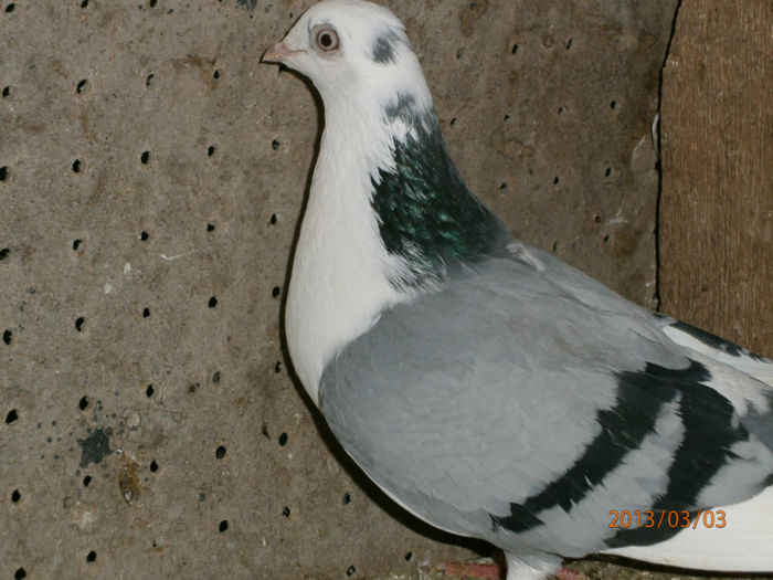 P3030632