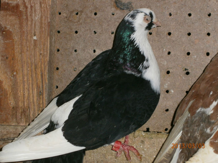 P3030634
