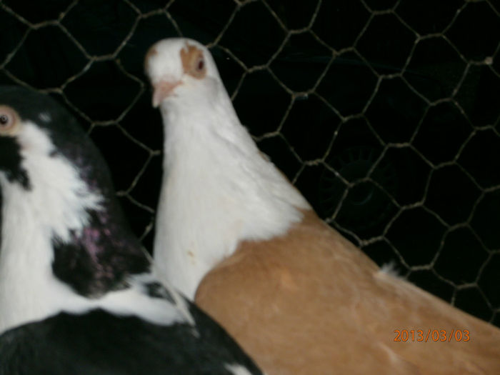 P3030638