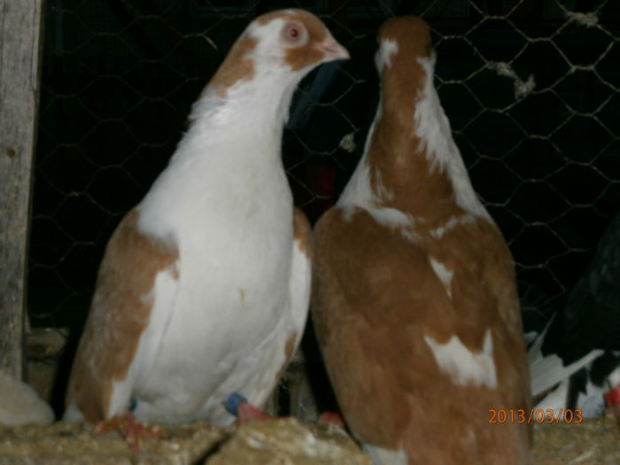 P3030649