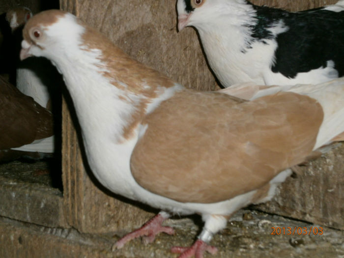P3030651
