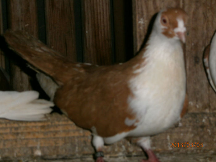 P3030656