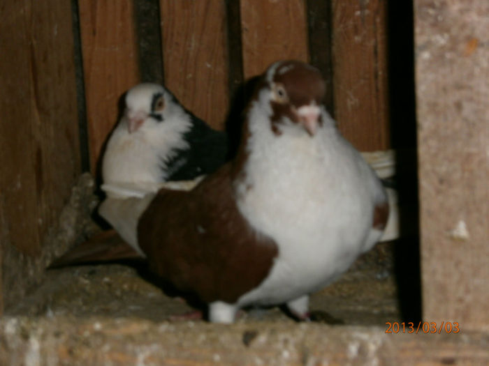 P3030658