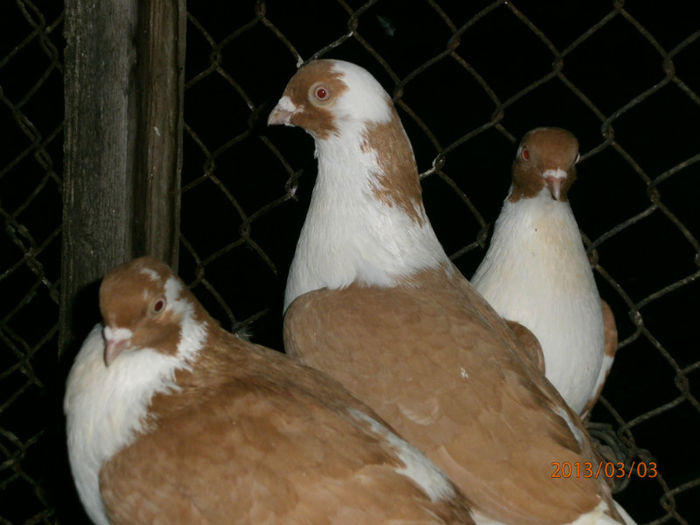 P3030663