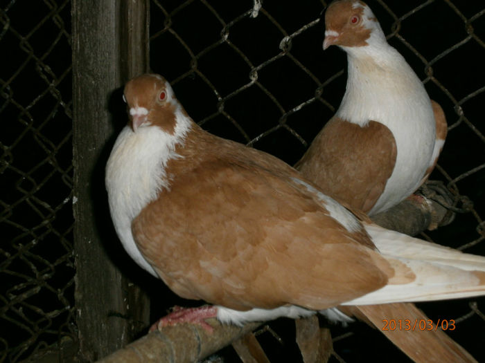 P3030664