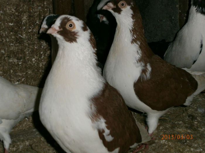 P3030666