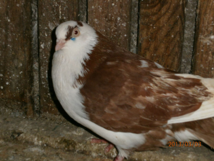 P3030667