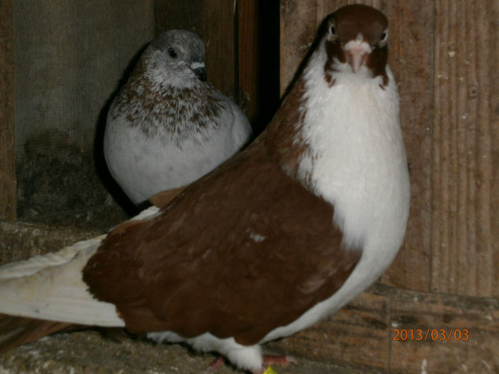 P3030672