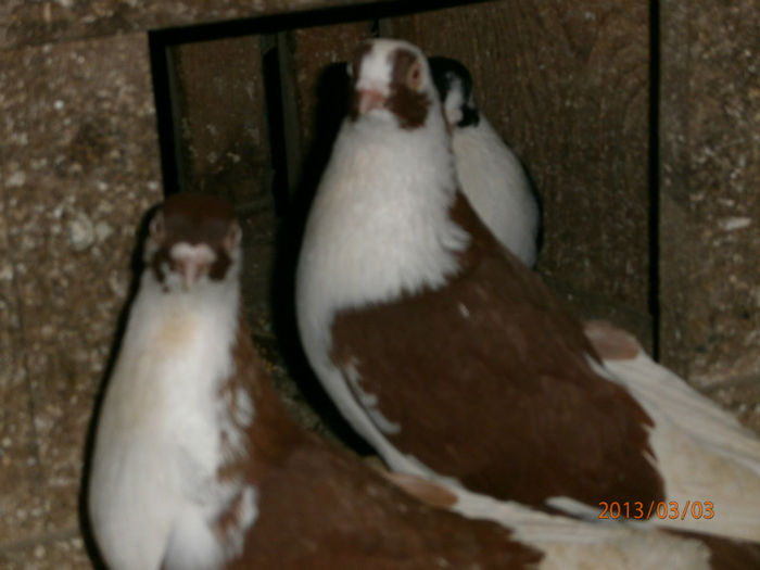 P3030678