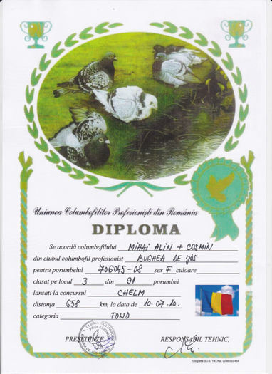 Loc 3 Chelm - Diplome 2010