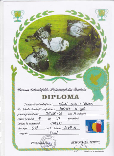  Loc 7 Chelm - Diplome 2010