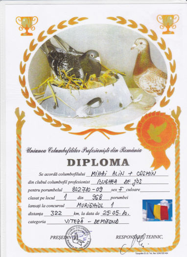 Loc 1 Murighiol 1 - Diplome 2010