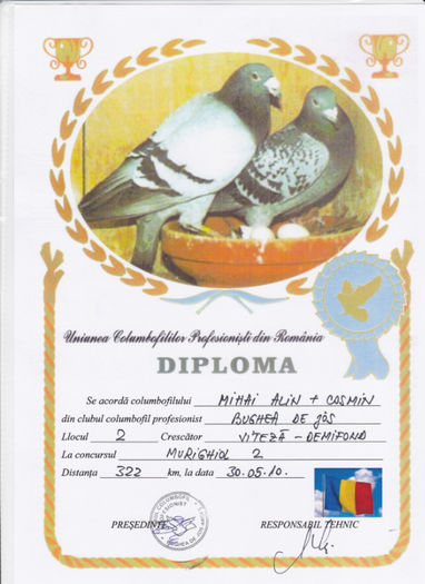 Loc 2 Murighiol 2 crescatori - Diplome 2010