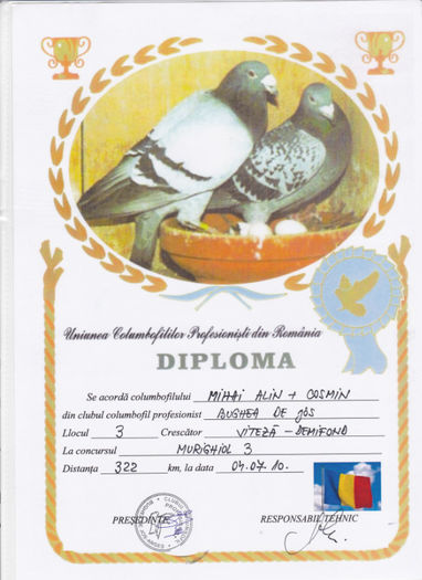  Loc 3 Murighiol 3 crescatori - Diplome 2010