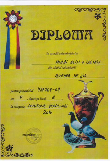 Loc 6 DEMIFOND yearlingi - Diplome 2010