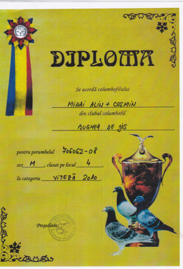 Loc 4 VITEZA - Diplome 2010