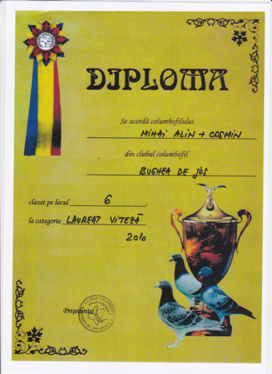Loc 6 LAUREAT VITEZA - Diplome 2010