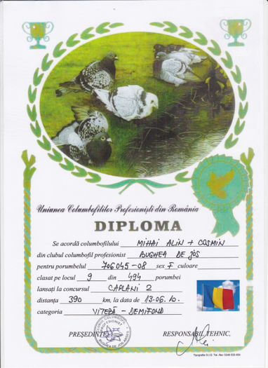 Loc 9 Caplani 2 - Diplome 2010