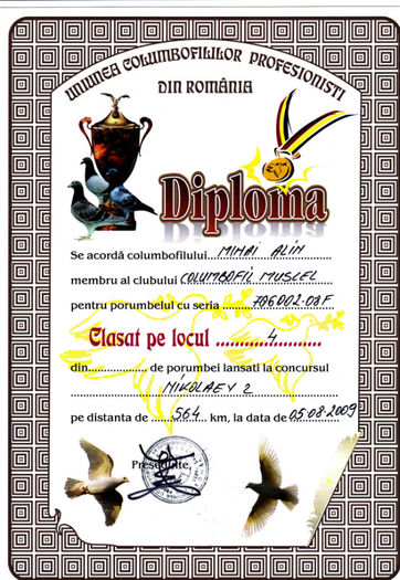 Loc 4 Nikolaev 2 - Diplome 2009