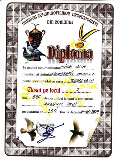 Loc 2 Radauti Prut - Diplome 2009