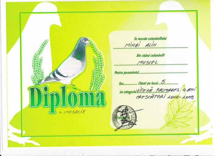 Loc 5 VITEZA crescatori palmares 4 ani - Diplome 2009