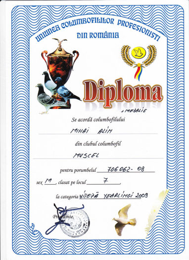Loc 7 VITEZA yearlingi - Diplome 2009