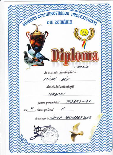 Loc 11 VITEZA palmares 2 ani - Diplome 2009
