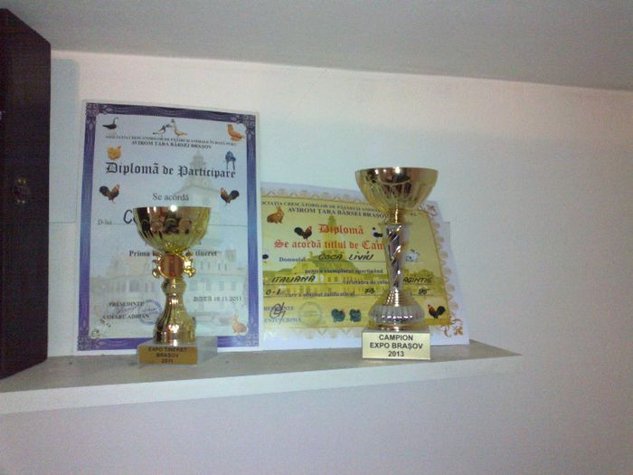 030320131322 - CUPE  SI  DIPLOME