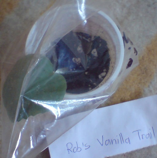 DSC00513 - Rob s Vanila trail