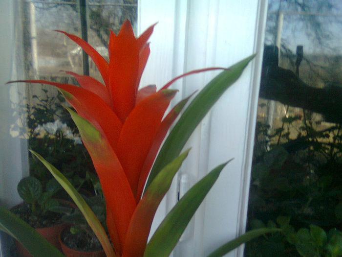 Picture 064 - FLORI