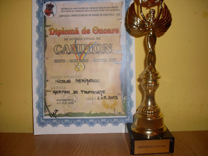 EXPO IASI 2013 - Diplome si trofee