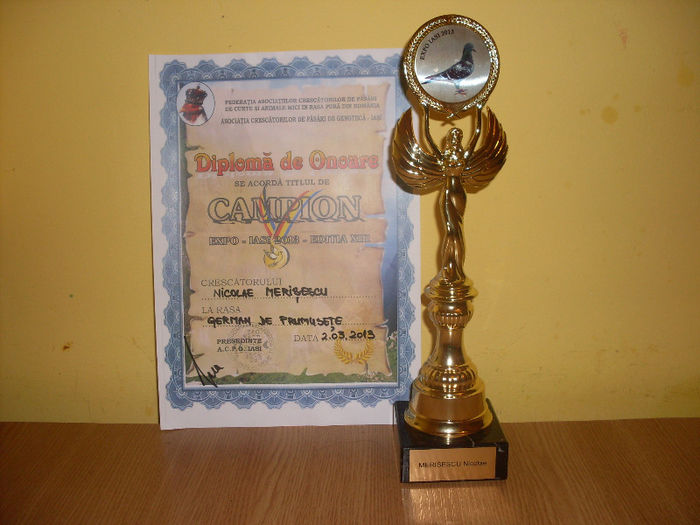 EXPO IASI 2013 - Diplome si trofee
