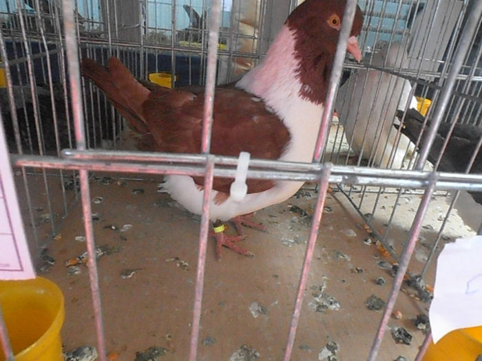 P3030248