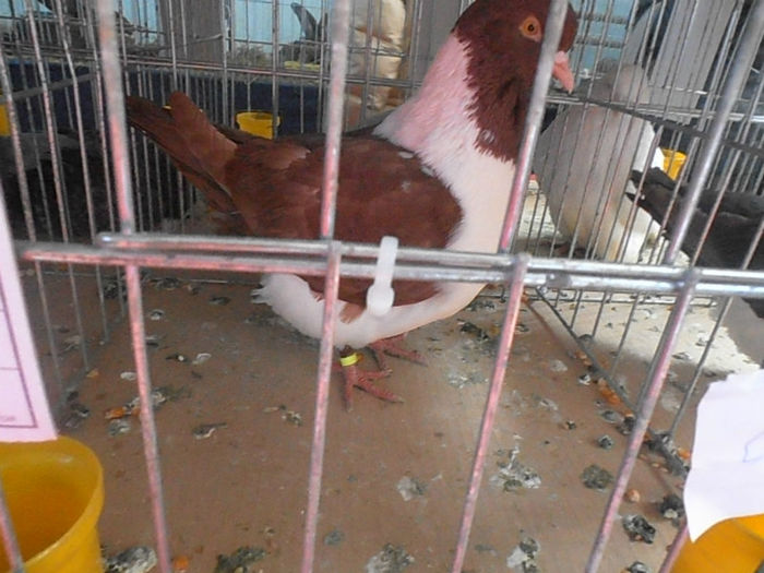 P3030249