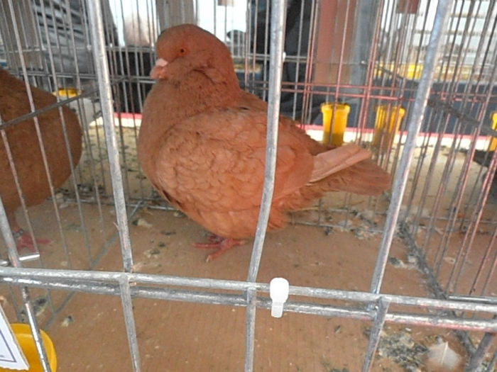 P3030254