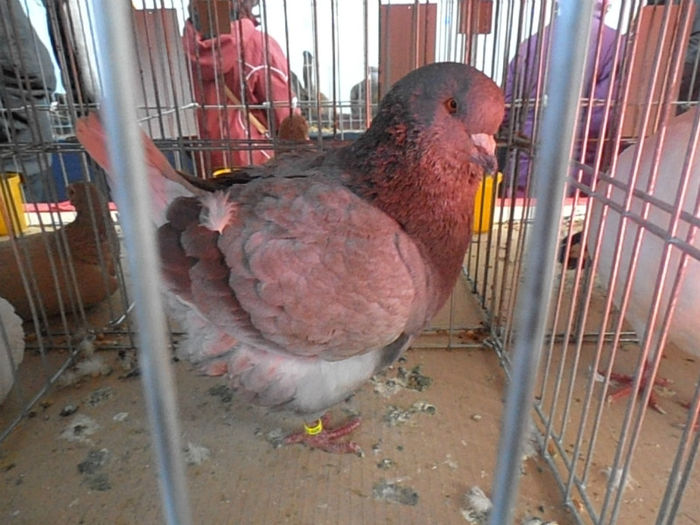 P3030265