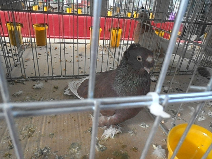 P3030273