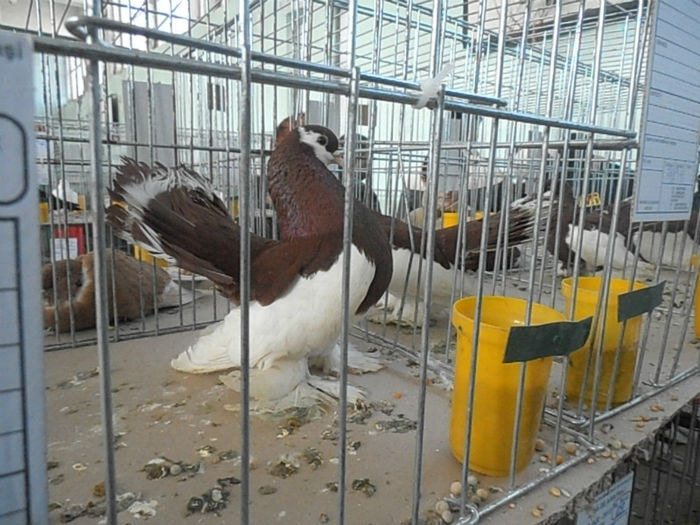 P3030275