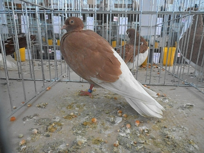 P3030288