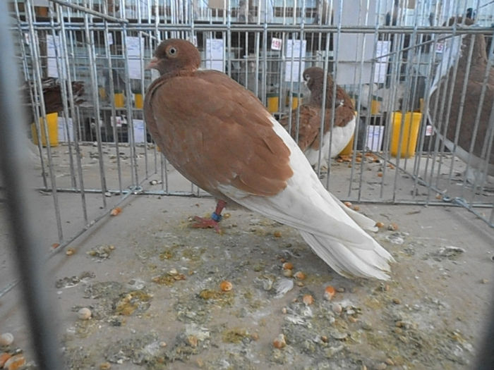 P3030289
