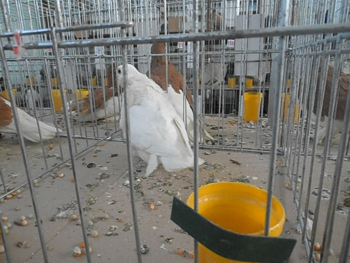P3030290
