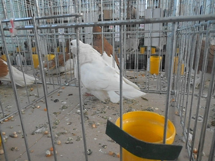 P3030291