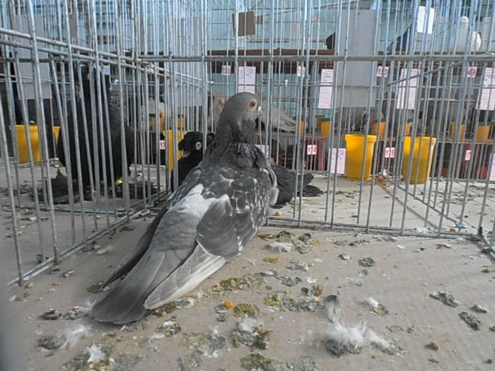P3030304