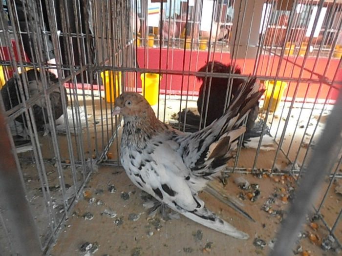 P3030306