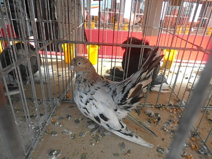 P3030307
