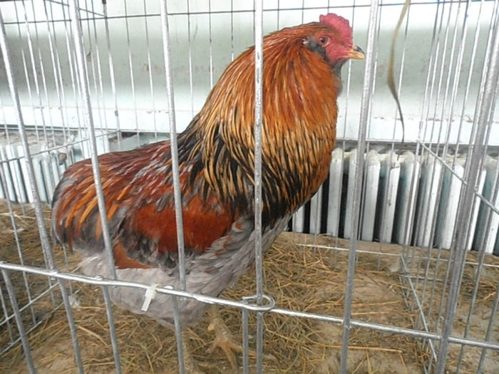 P3030344